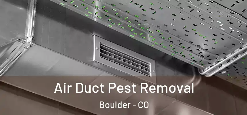 Air Duct Pest Removal Boulder - CO
