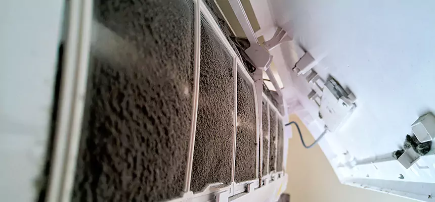 Preventive Air Duct Bacteria Removal in Boulder