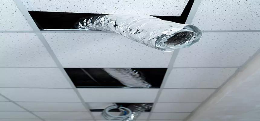 Affordable HVAC Sanitizing After Pest Removal in Boulder