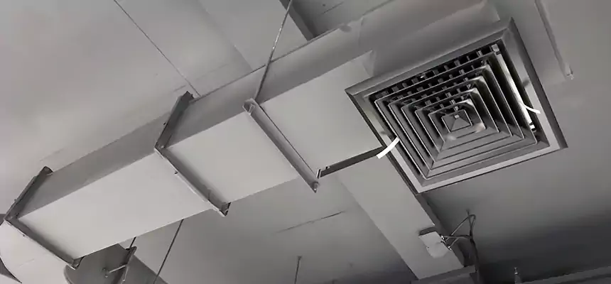 Restorative Allergy Relief Vent Cleaning – Coil, Blower & Housing Detail in Boulder