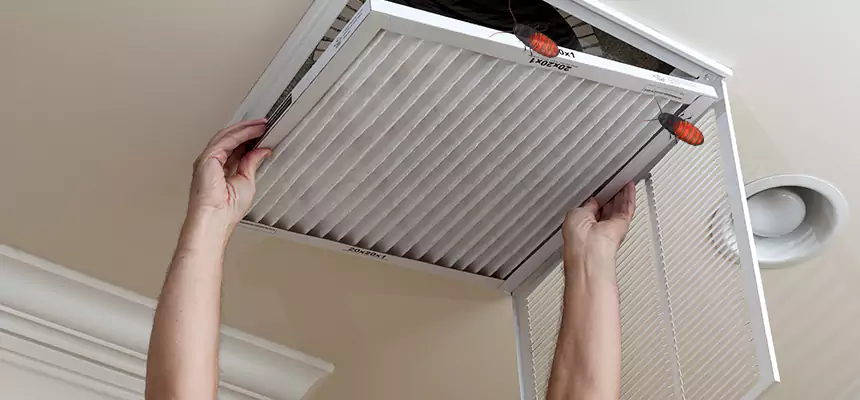 Our Insect Removal from Air Ducts Services in Boulder, CO