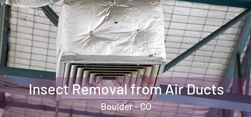 Insect Removal from Air Ducts Boulder - CO