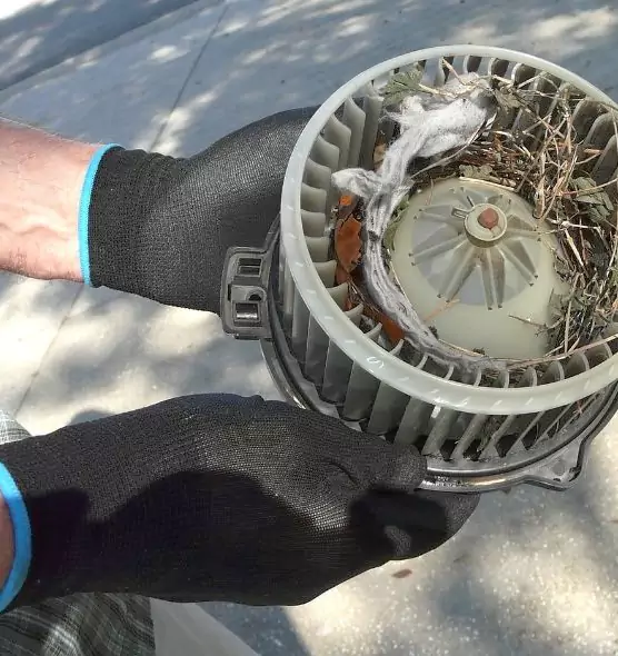 About Air Duct Mice Removal in Boulder, CO