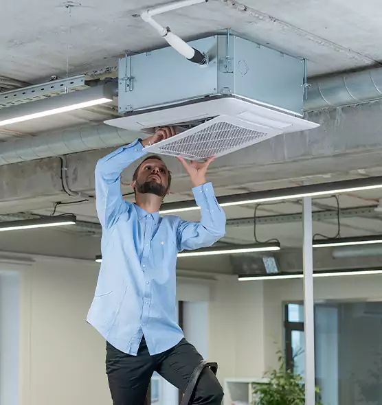 Advanced Rodent Droppings In Vents in Boulder, CO