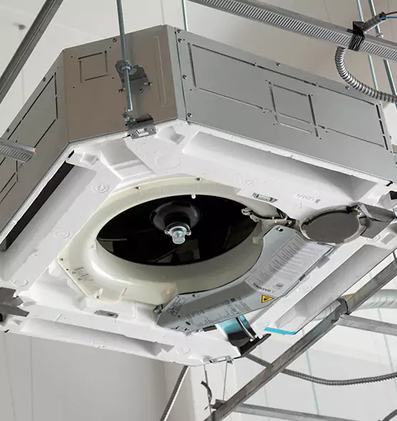 Professional Roof Vent Lint Removal Boulder, CO