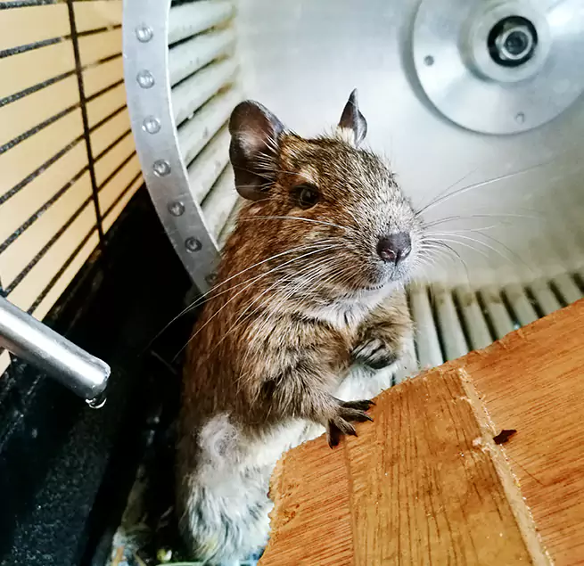 Why Homeowners & Businesses Trust Us Boulder, CO