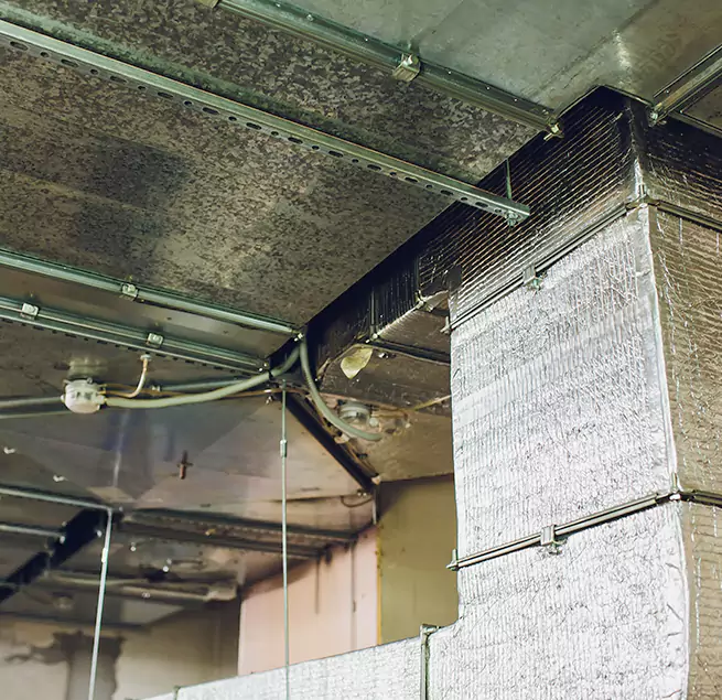 Why Homeowners & Businesses Trust Us in Boulder, CO?